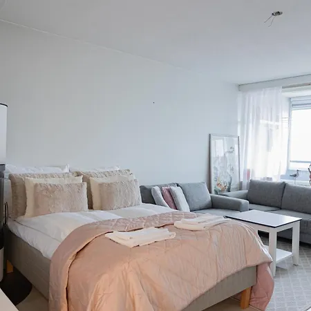 公寓 Spacious Penthouse 罗瓦涅米